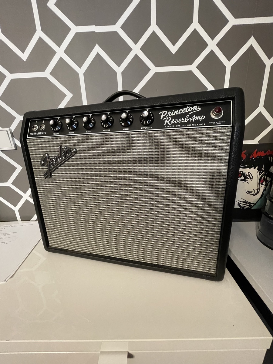 Amp Rig by fer_rockore featuring Fender 65 Princeton Reverb Reissue