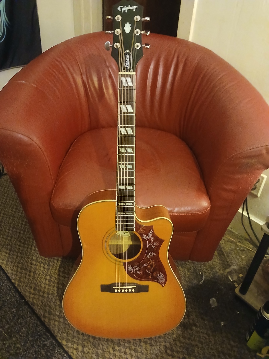re3el's music gear photo