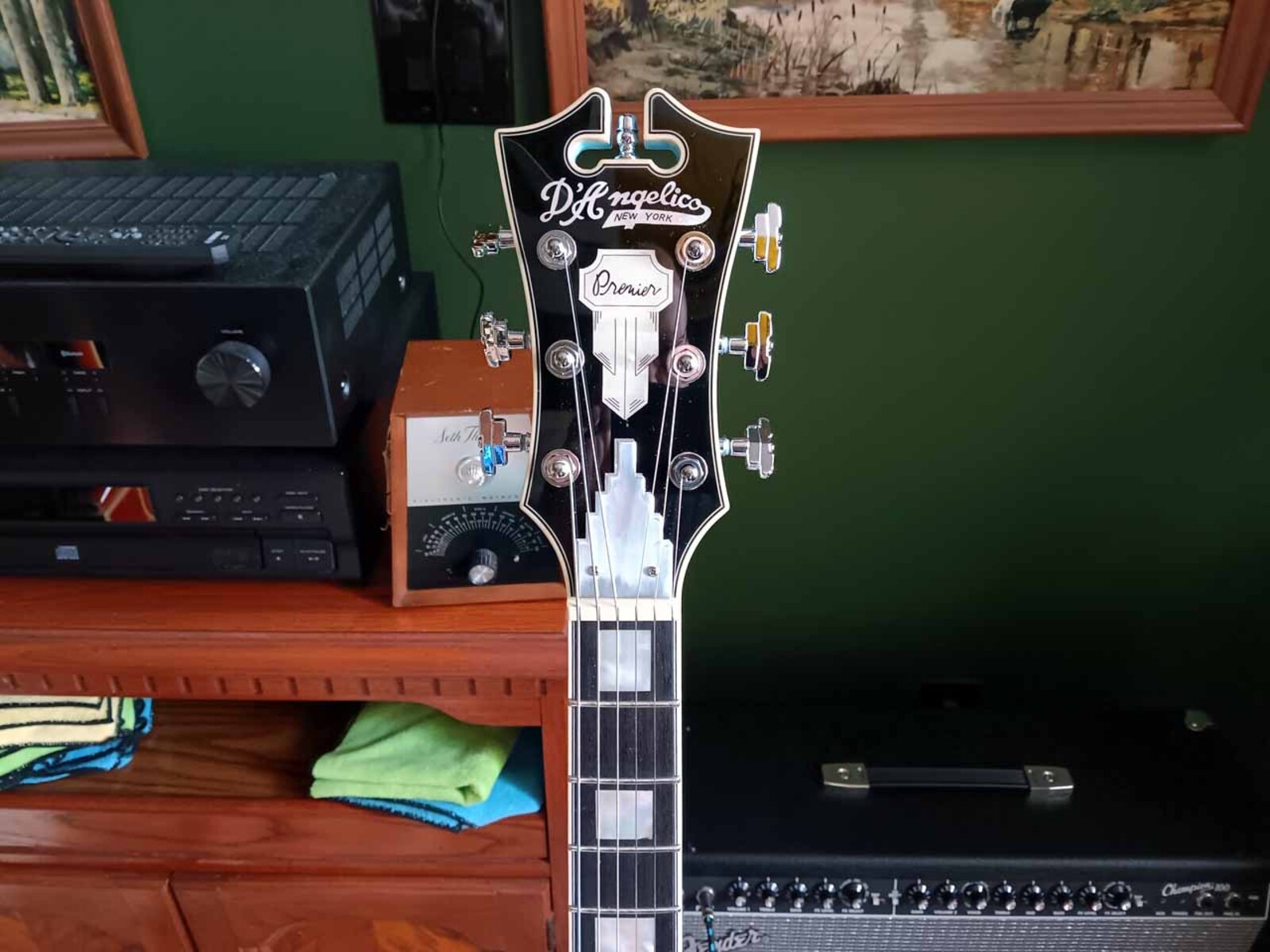 Music Gear Setup by jeremy_crockett featuring D'Angelico Premier DC