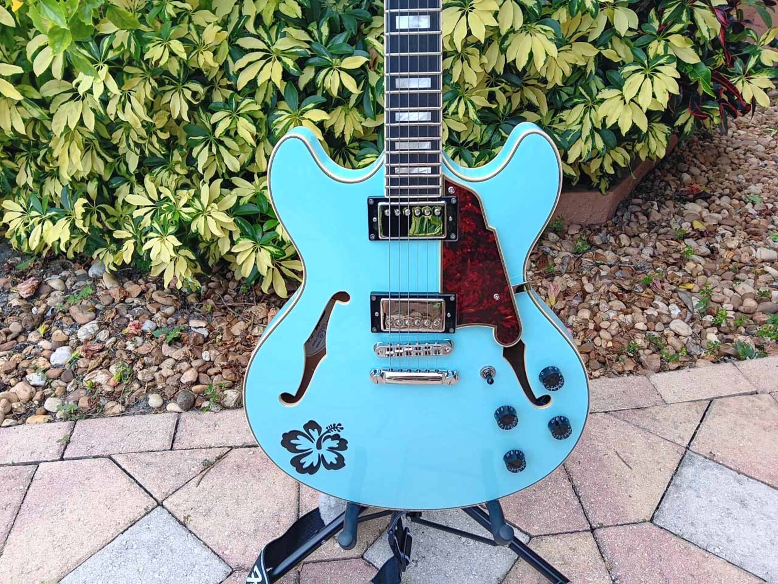Music Gear Setup by jeremy_crockett featuring D'Angelico Premier DC
