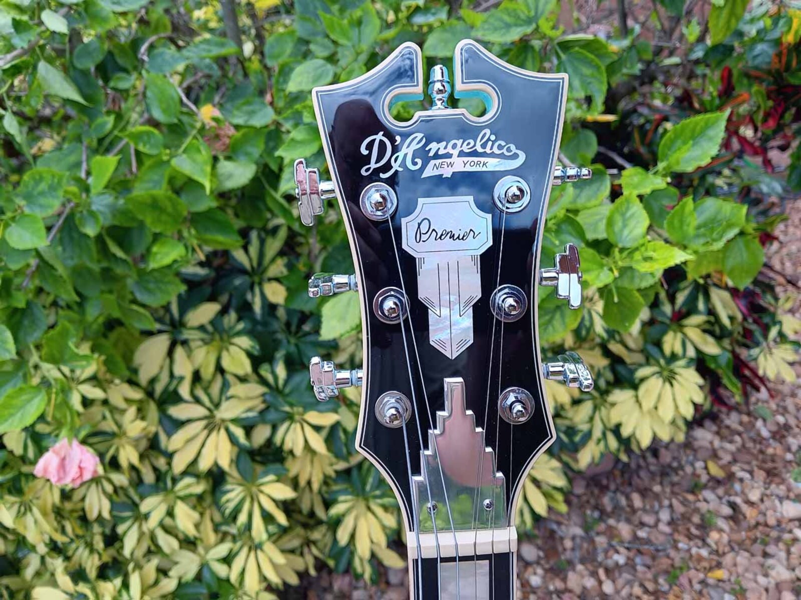 Music Gear Setup by jeremy_crockett featuring D'Angelico Premier DC