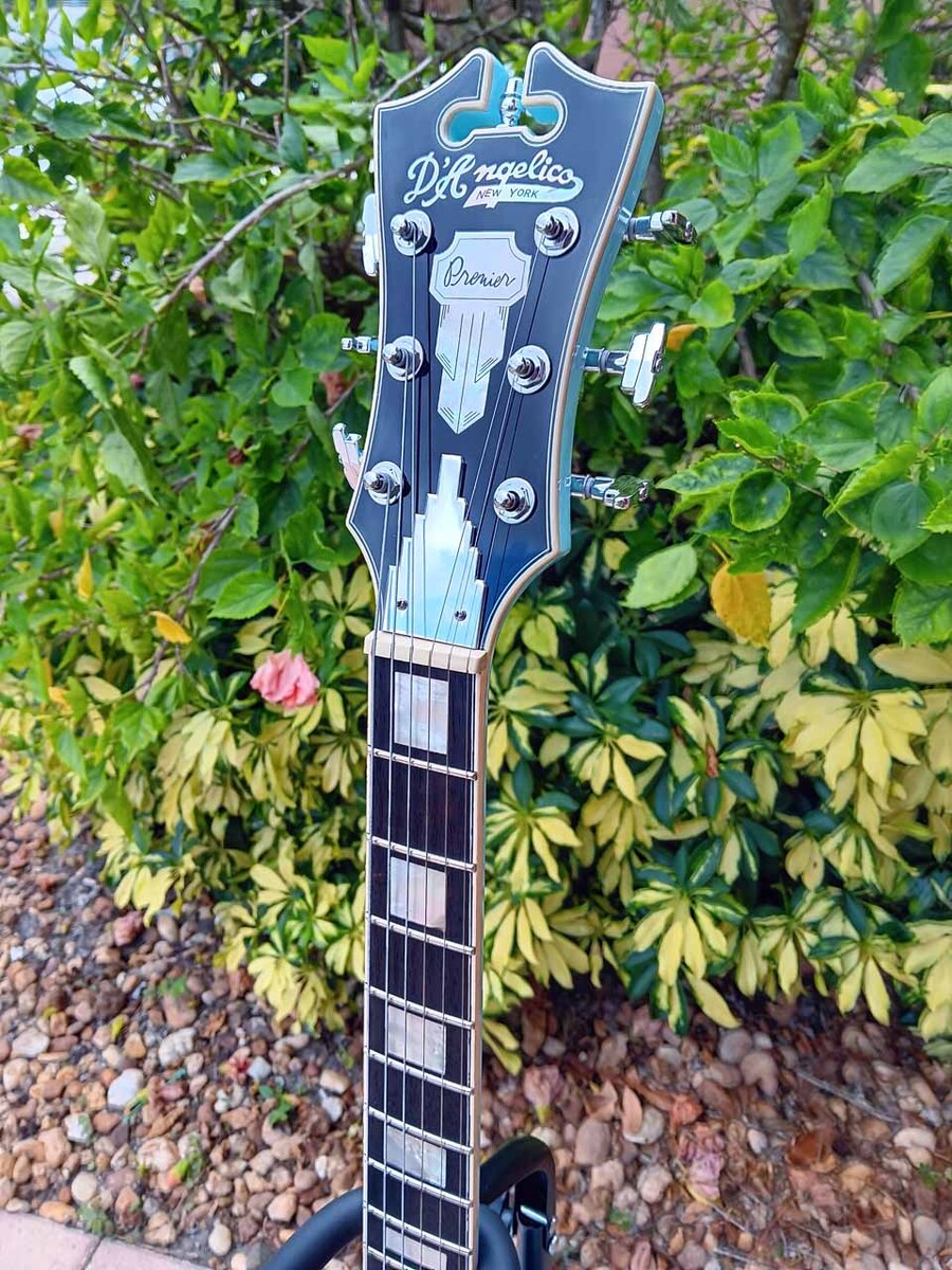 Music Gear Setup by jeremy_crockett featuring D'Angelico Premier DC