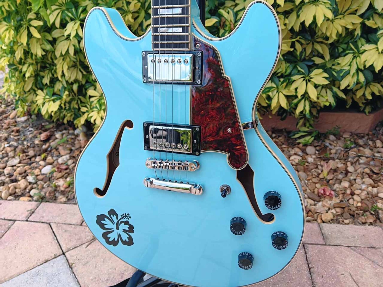 Music Gear Setup by jeremy_crockett featuring D'Angelico Premier DC