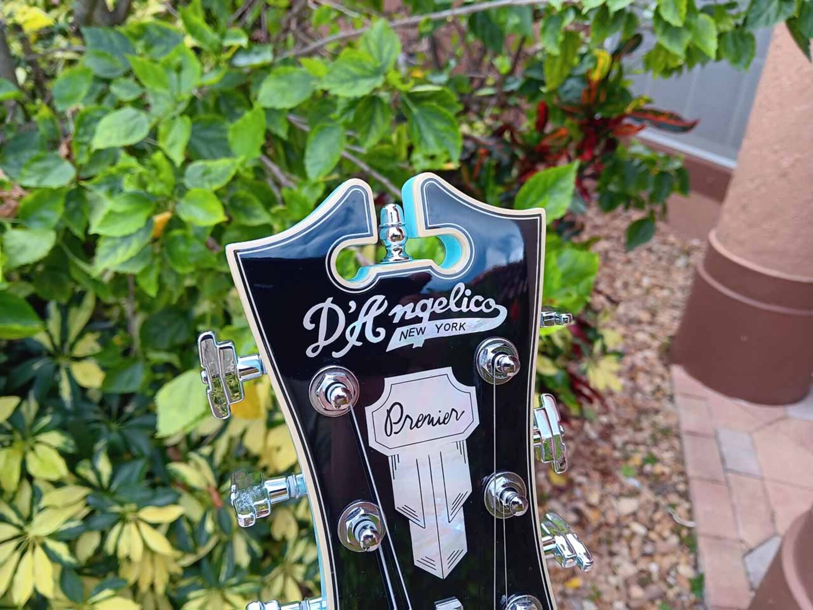 Music Gear Setup by jeremy_crockett featuring D'Angelico Premier DC