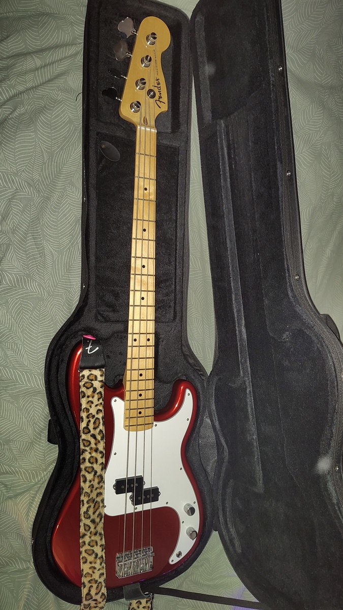 Bass Rig by igor_blaszczyk featuring Fender Mexican Standard Precision Bass and Fender Wild Animal Print Guitar Strap Leopard 2 in.