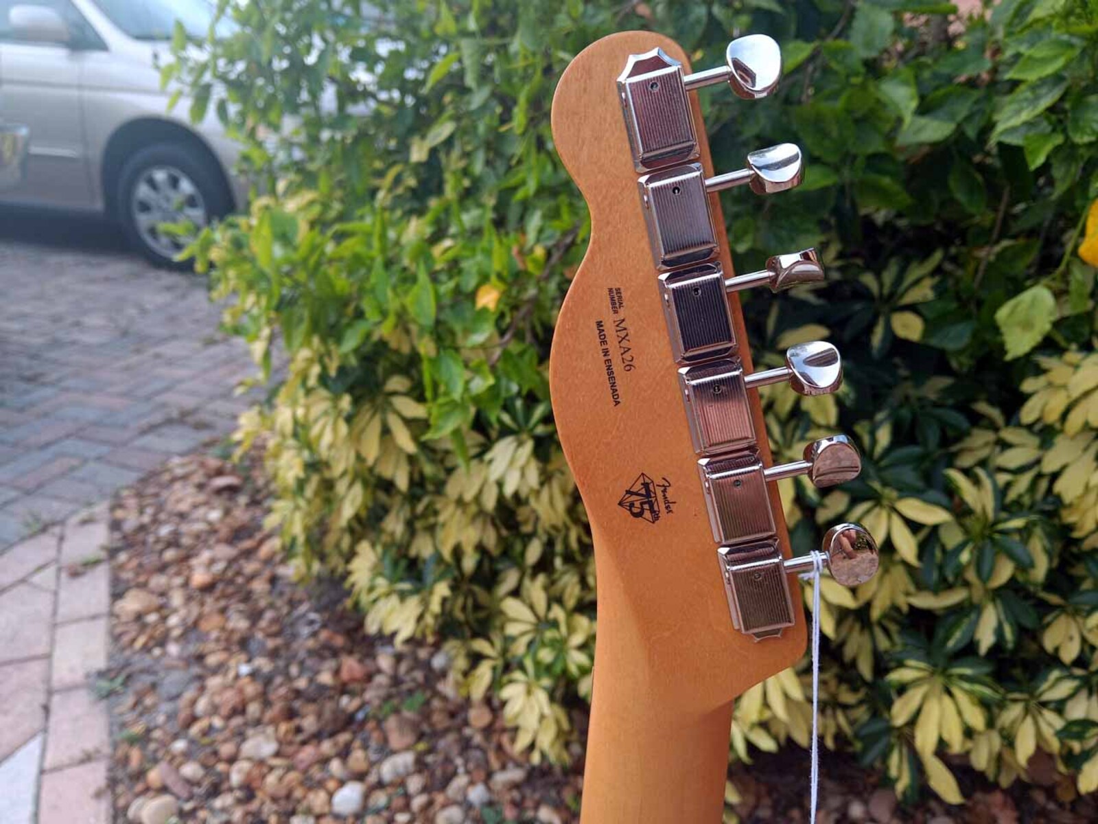 Gear photo by jeremy_crockett