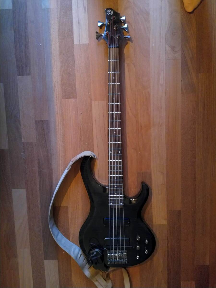 Music Gear Setup by erikg22 featuring Ibanez BTB305FM Standard