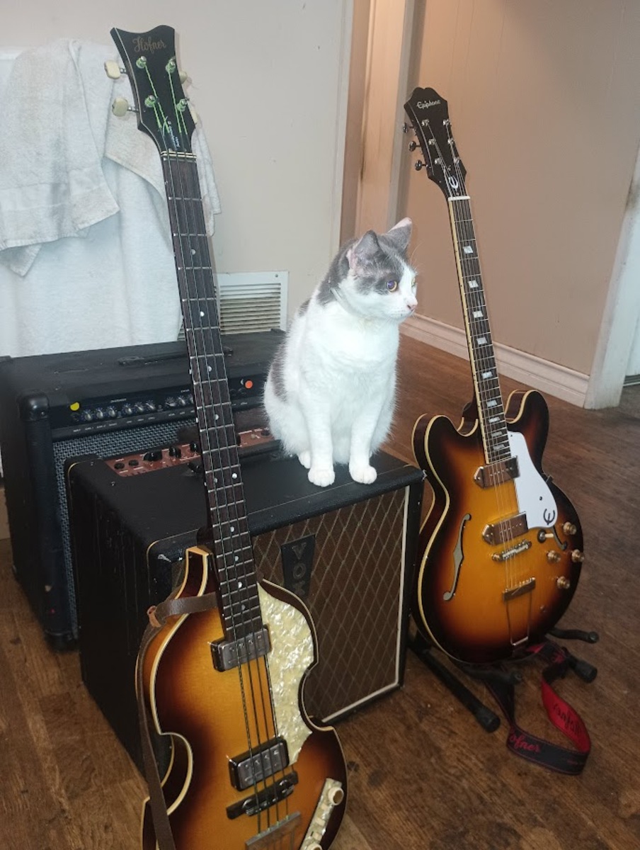 Country Bass Rig by wannabeatle featuring Hofner (Höfner) Contemporary Series Violin Bass, Epiphone Casino, and Vox T-60 60W 1x12" with Horn Combo