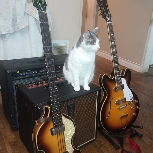 wannabeatle's gear photo