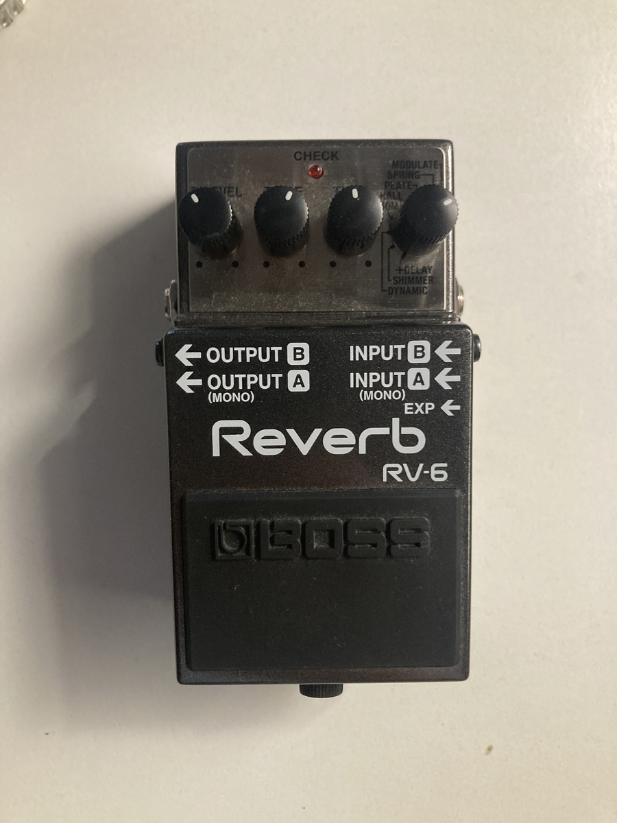 Pedalboard by alecani featuring Boss RV-6 Reverb