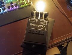 Boss RV-6 Reverb - What To Know & Where To Buy | Equipboard