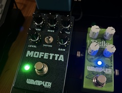 Wampler Belle — Overdrive Pedal | Equipboard