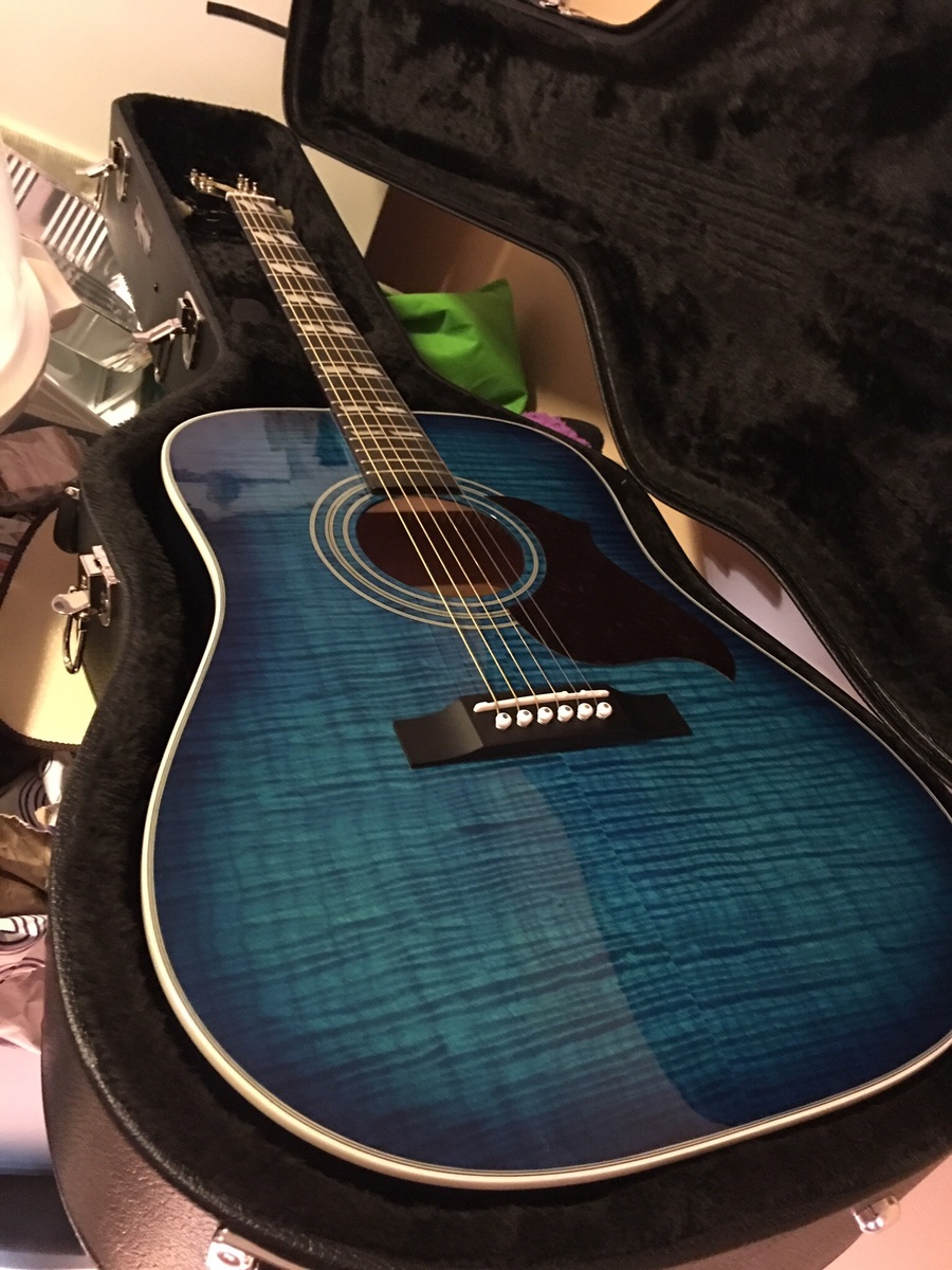 dmjharris's music gear photo