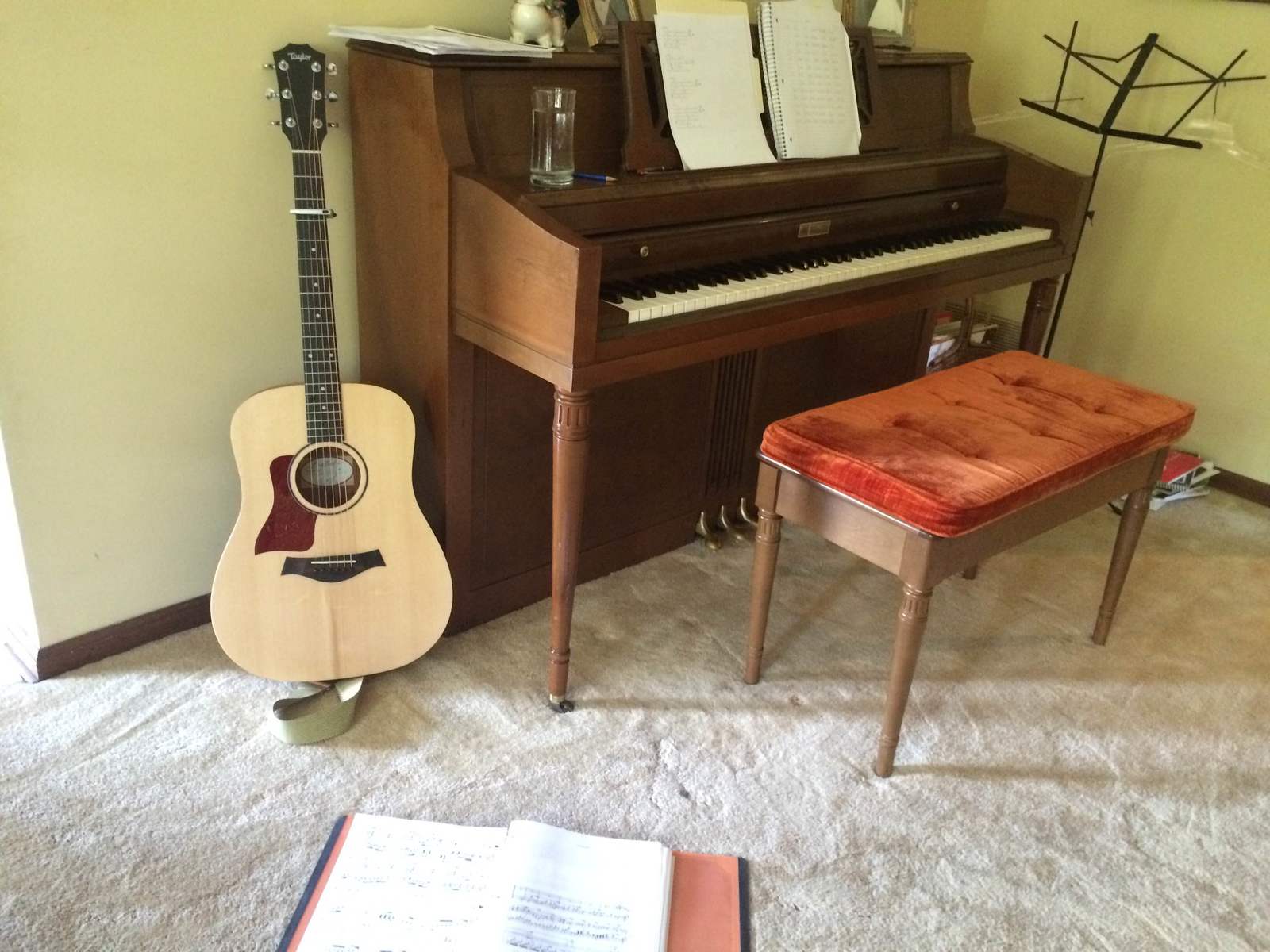 lindseydolan's music gear photo