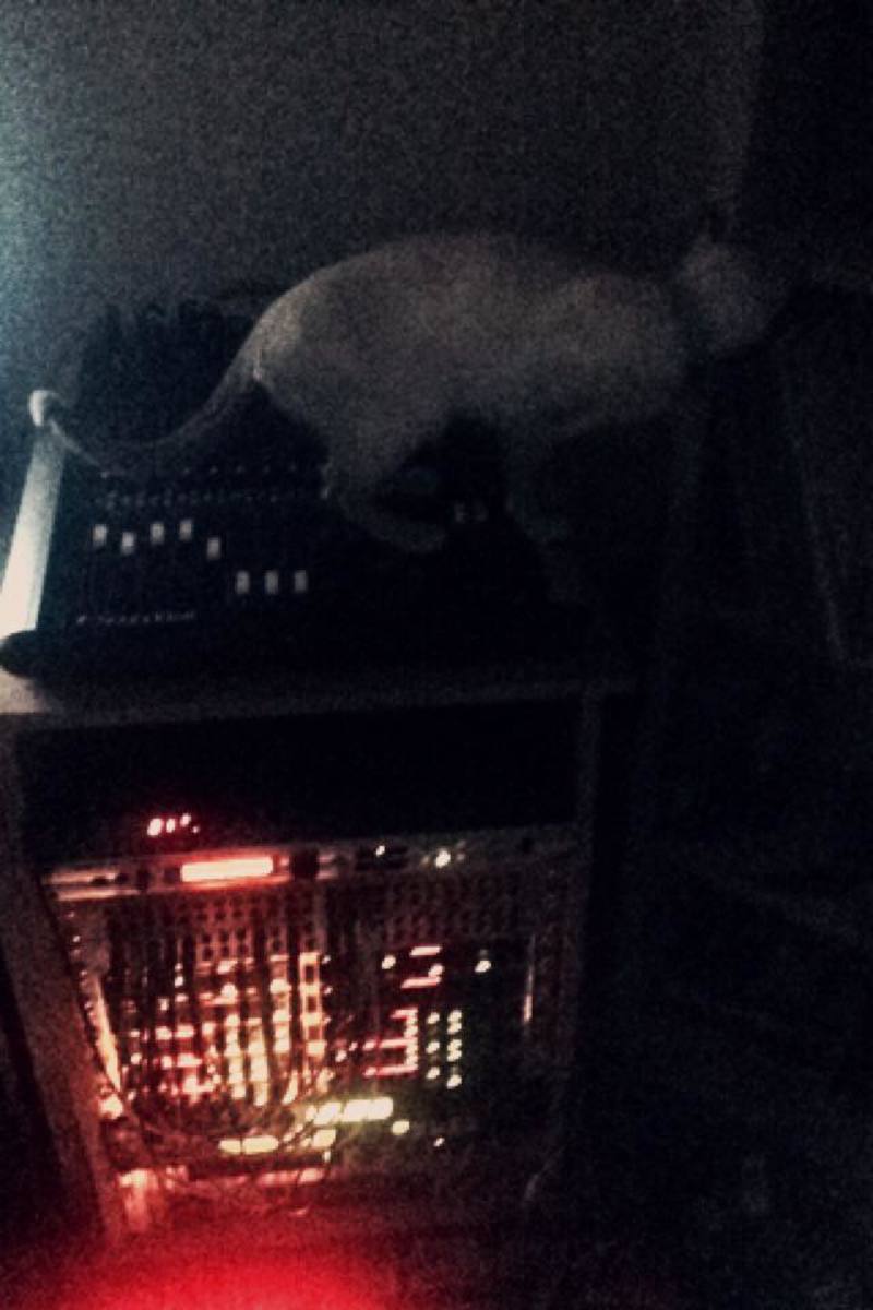 photonic_wax's music gear photo
