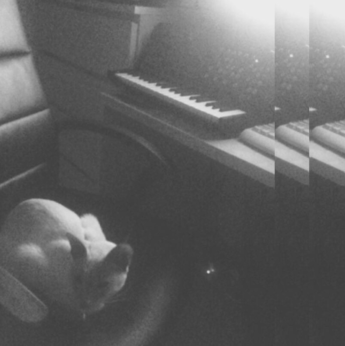 photonic_wax's music gear photo