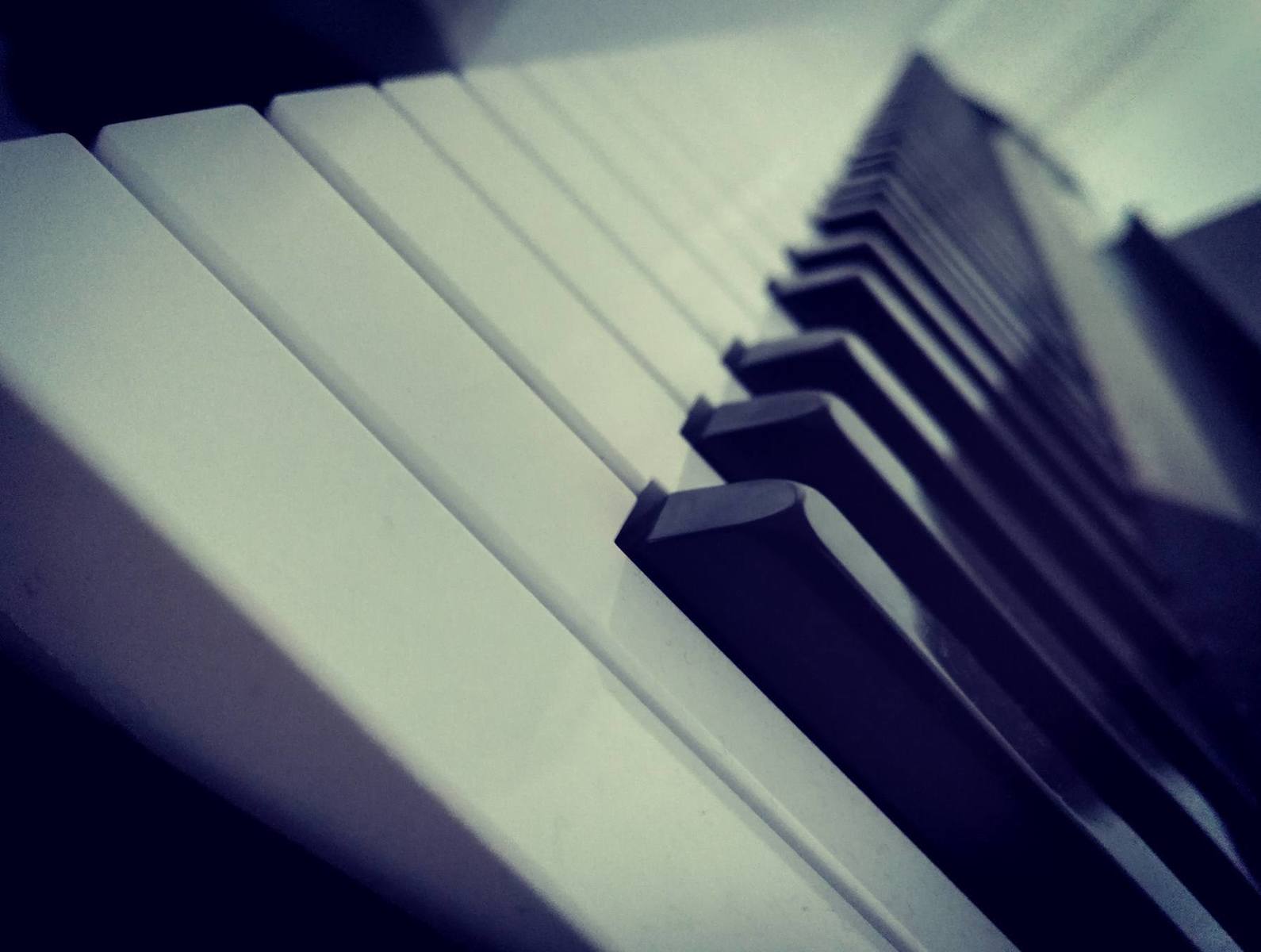 hevianix's music gear photo