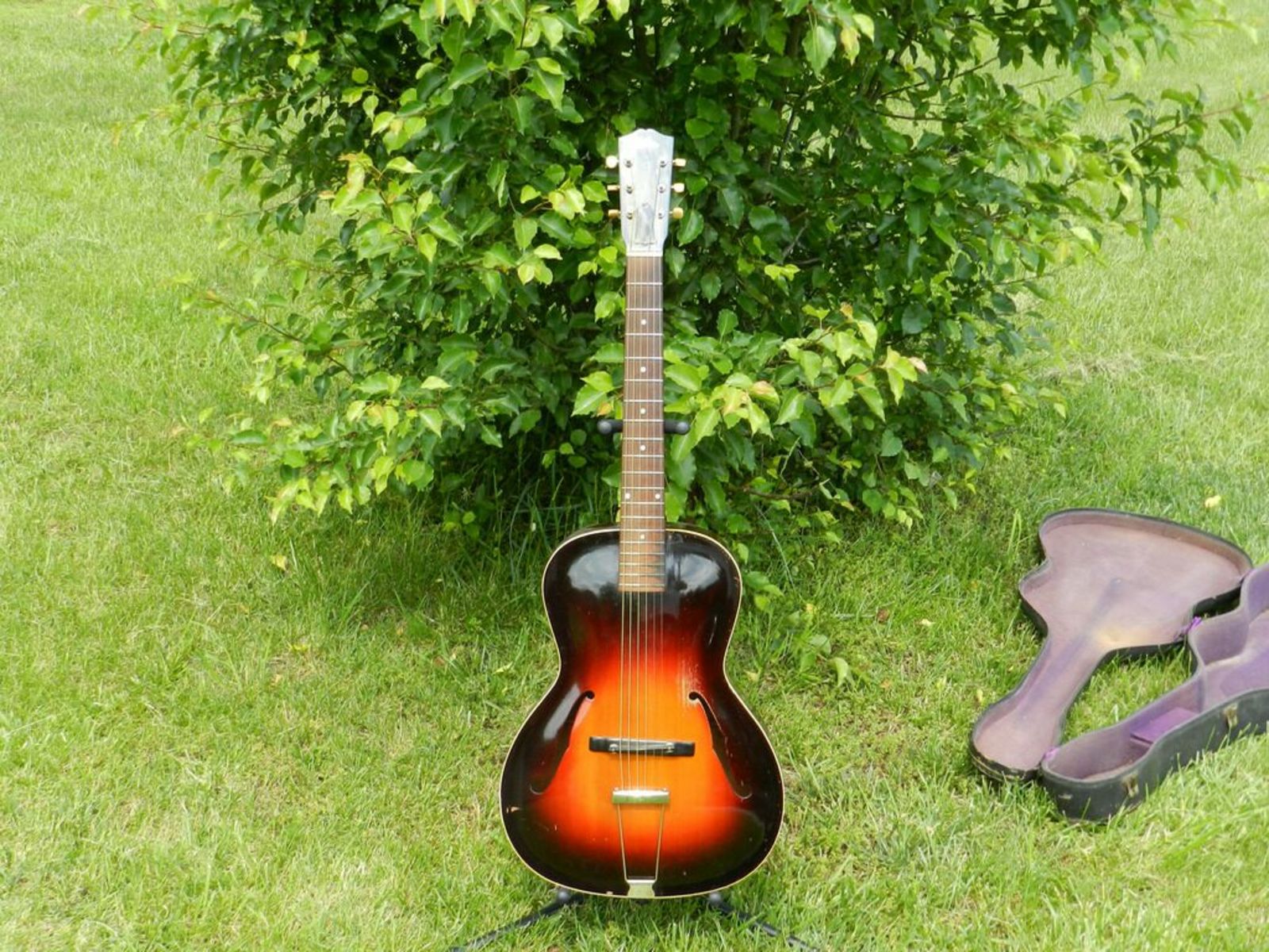 e1wood5150's music gear photo