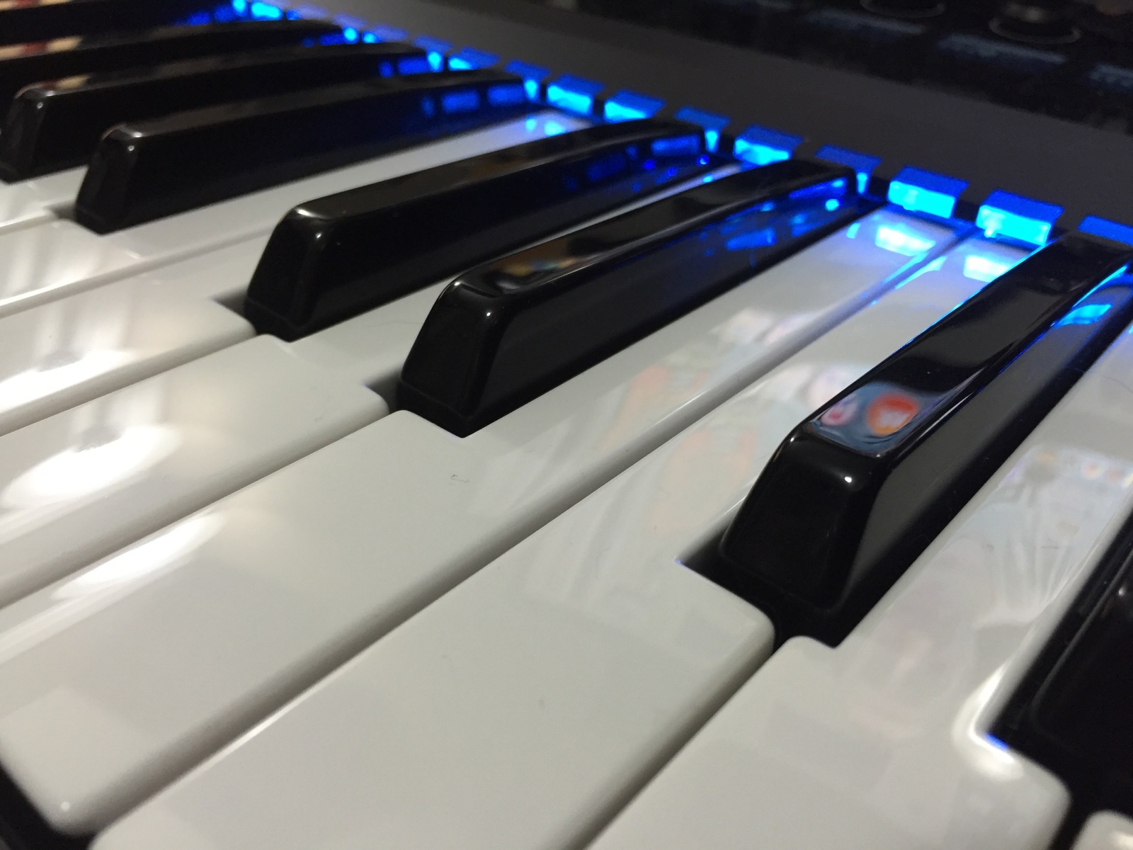 jeffersonweber's music gear photo