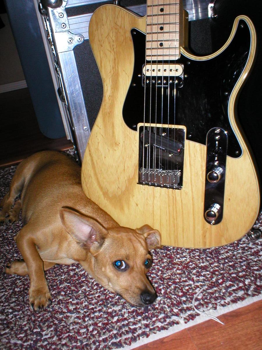 toneguy007's music gear photo