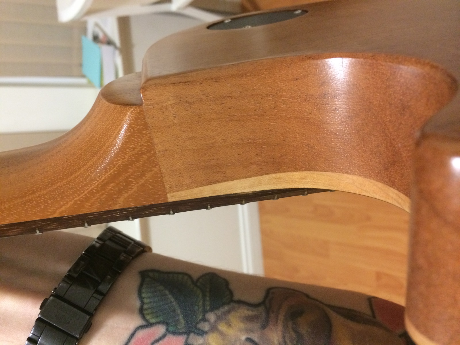dannfeltrin's music gear photo