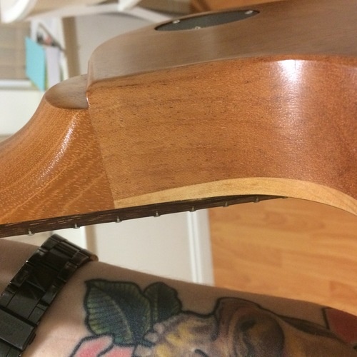dannfeltrin's gear photo