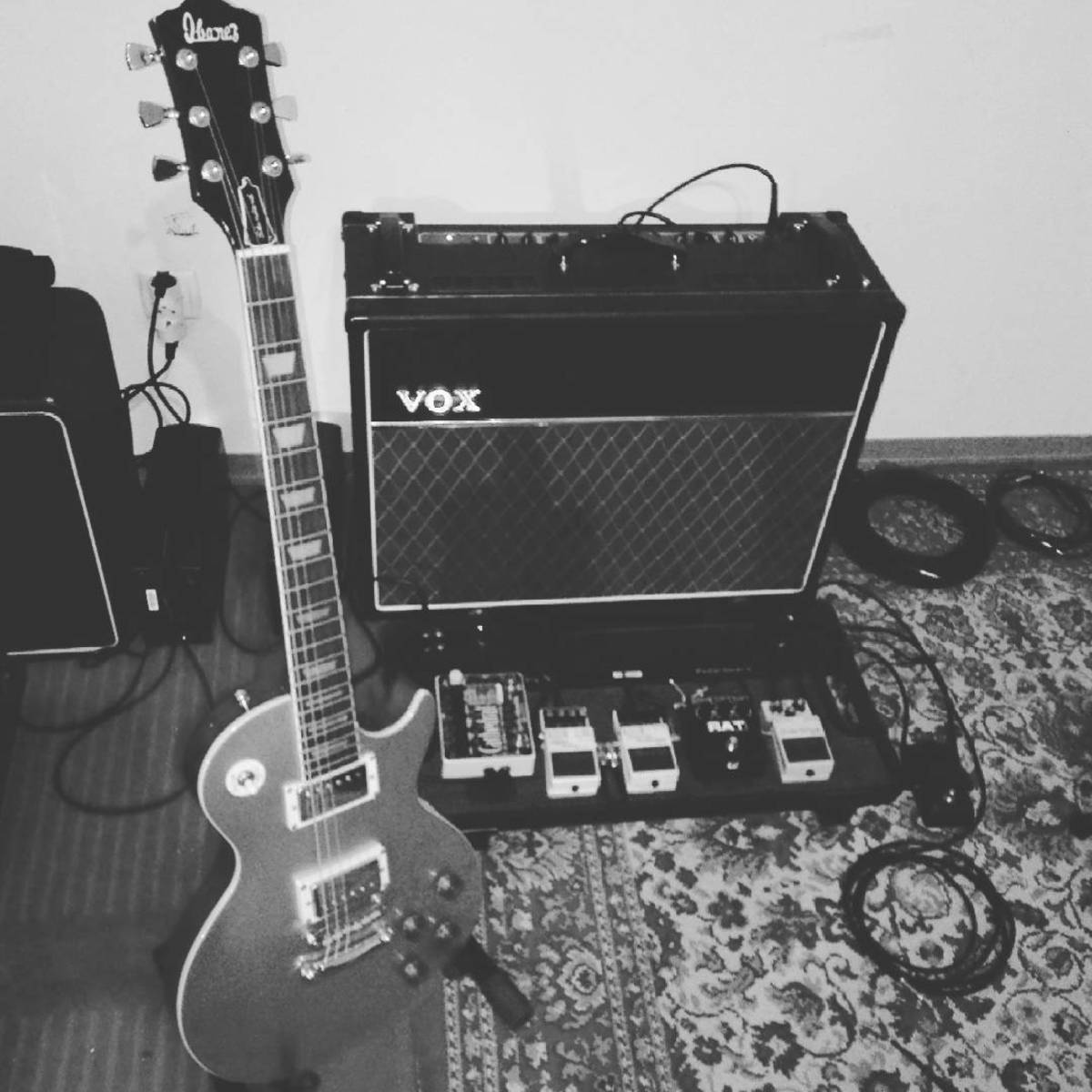 jose_carmo's music gear photo