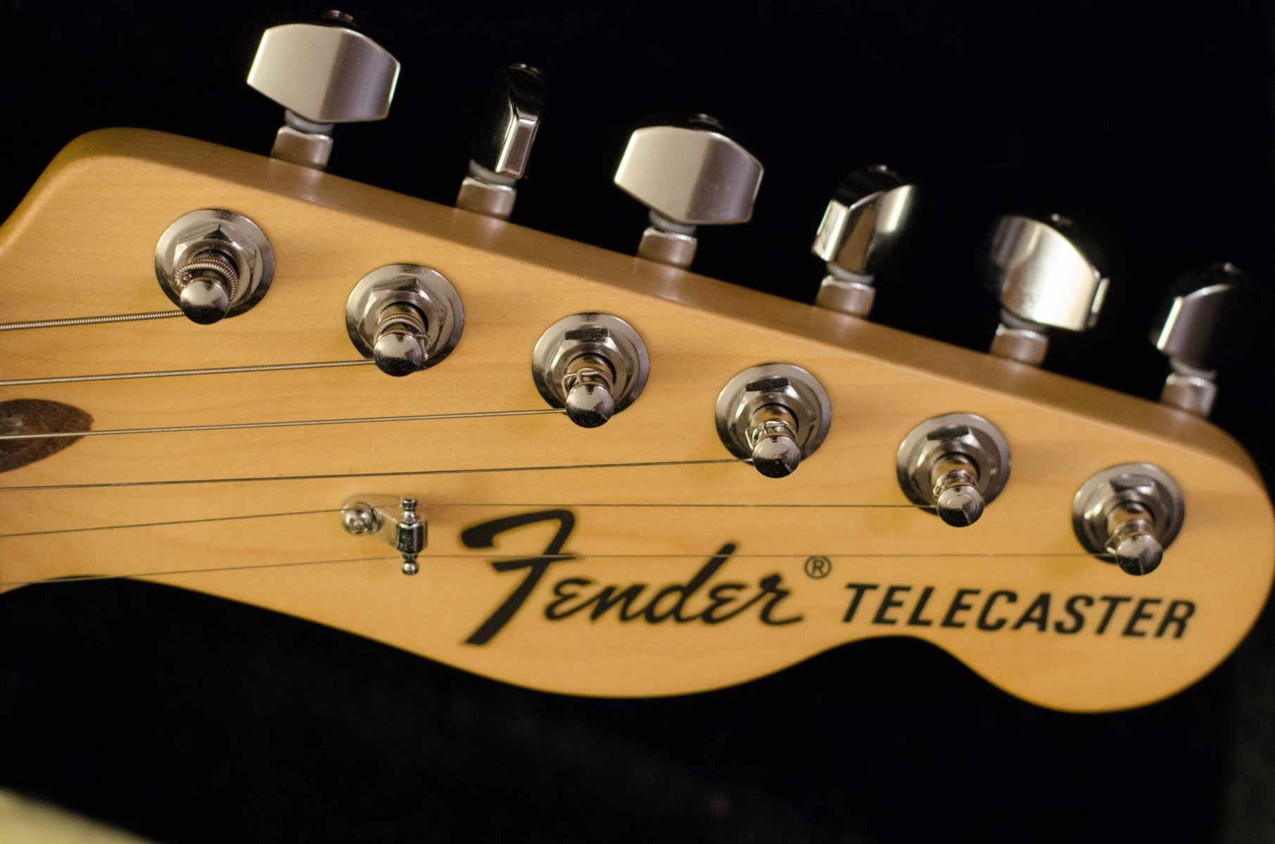timor's music gear photo