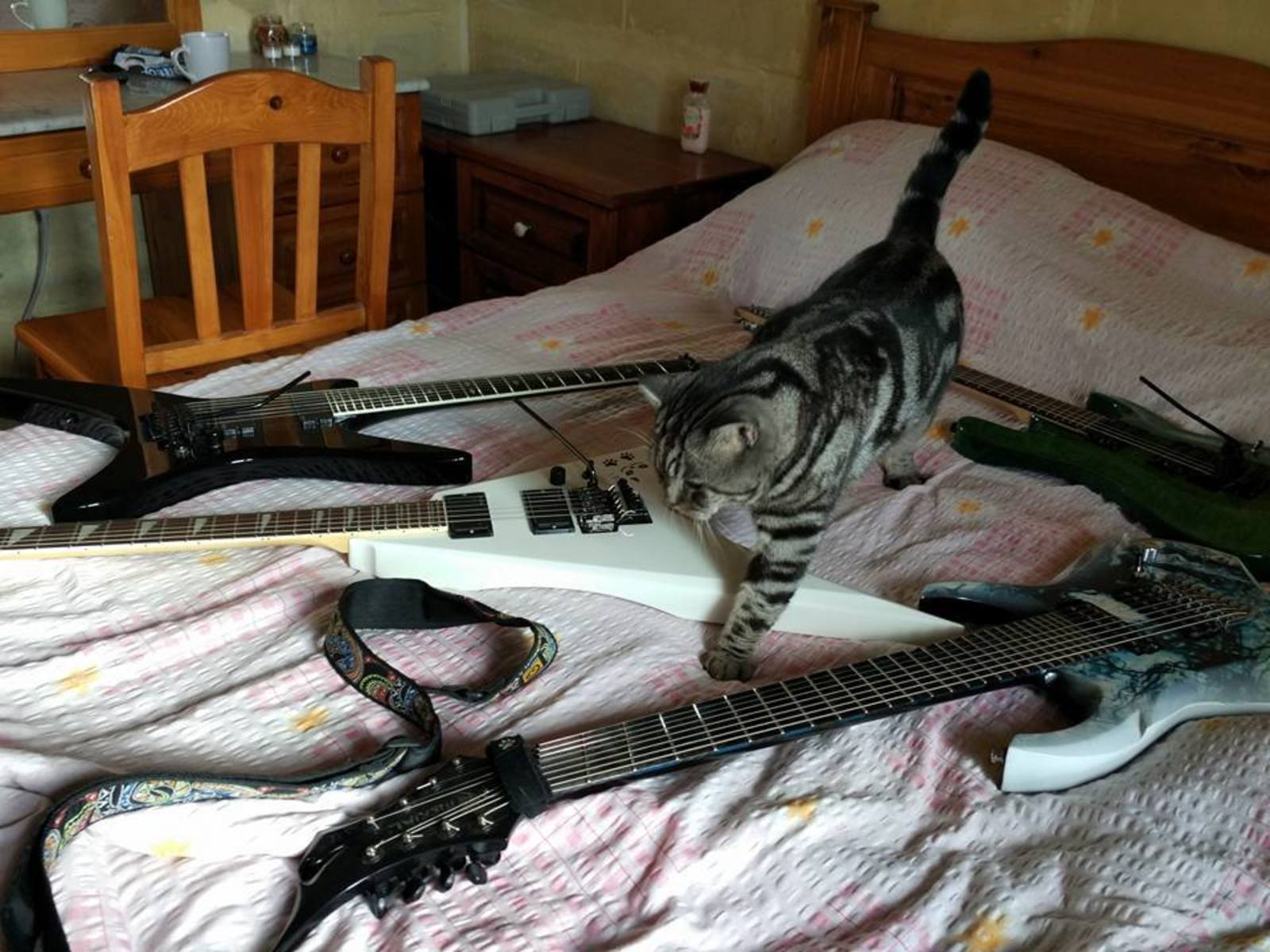 acidmartin's music gear photo