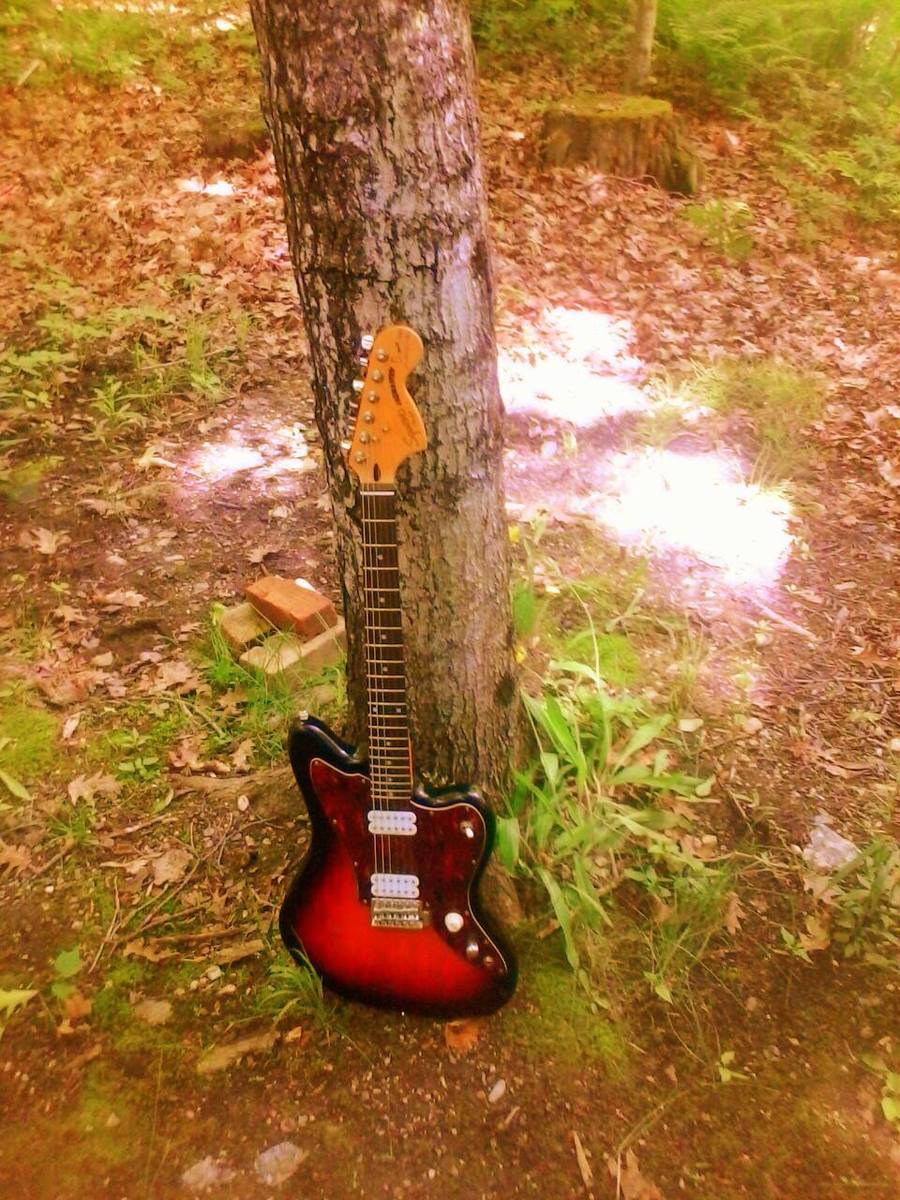 briantorres's music gear photo