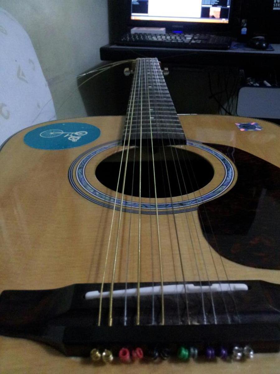 reginaldo_dutra's music gear photo
