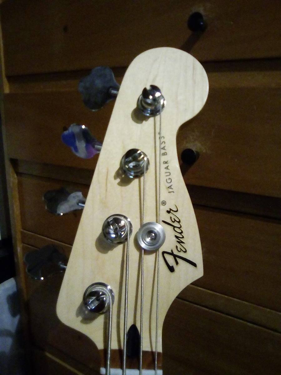 leonardo_ramirez's music gear photo