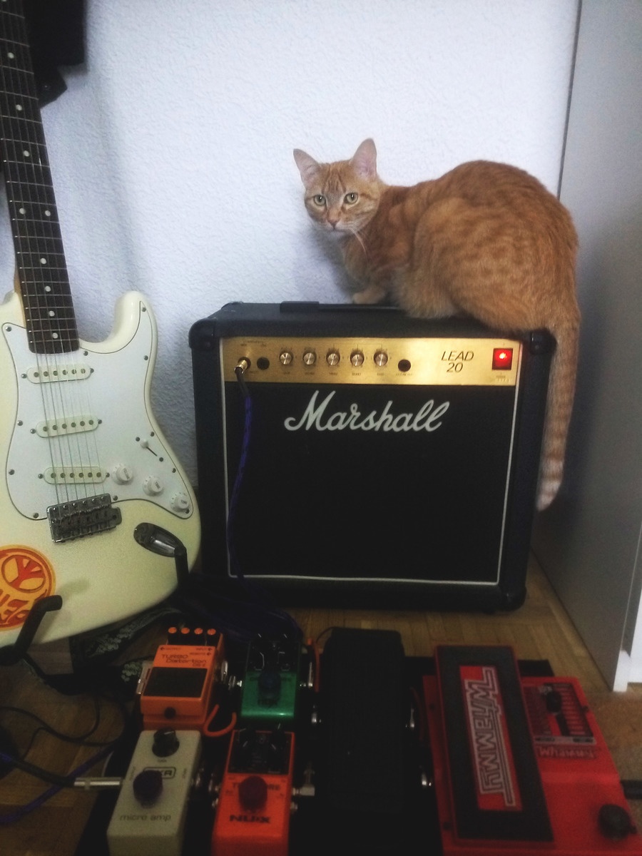 Music Gear Setup by ivan_niandra featuring 1989 Fender Stratocaster (Made in Japan), Marshall 5002 Lead 20, and DigiTech WH-5 Whammy V and 2 more pieces of gear