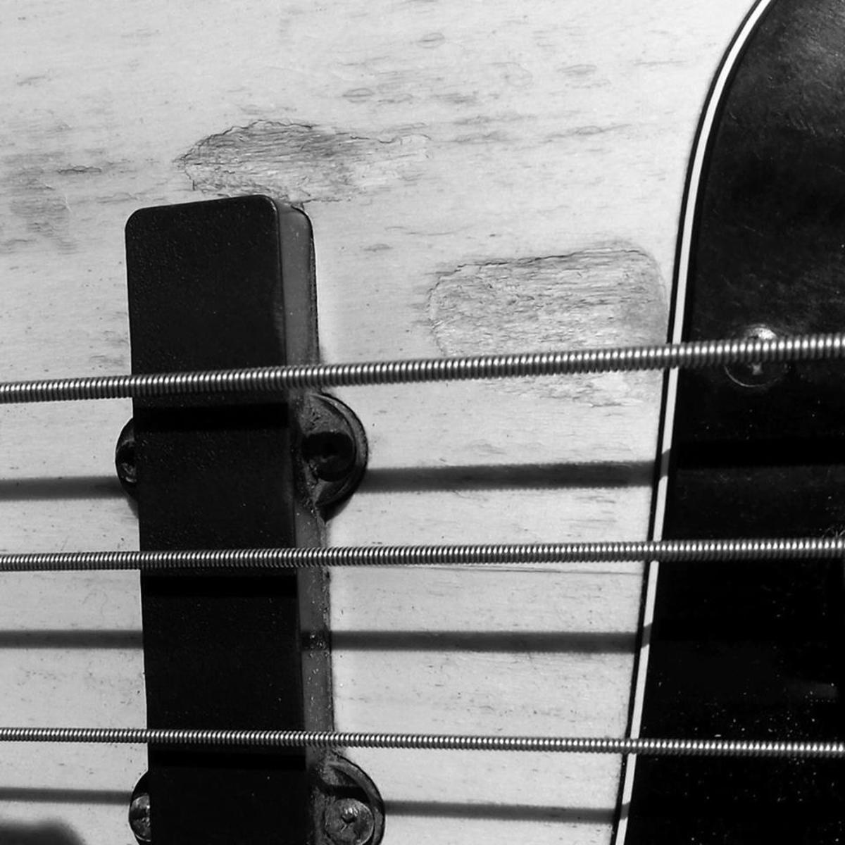 marcelo_yakko's music gear photo