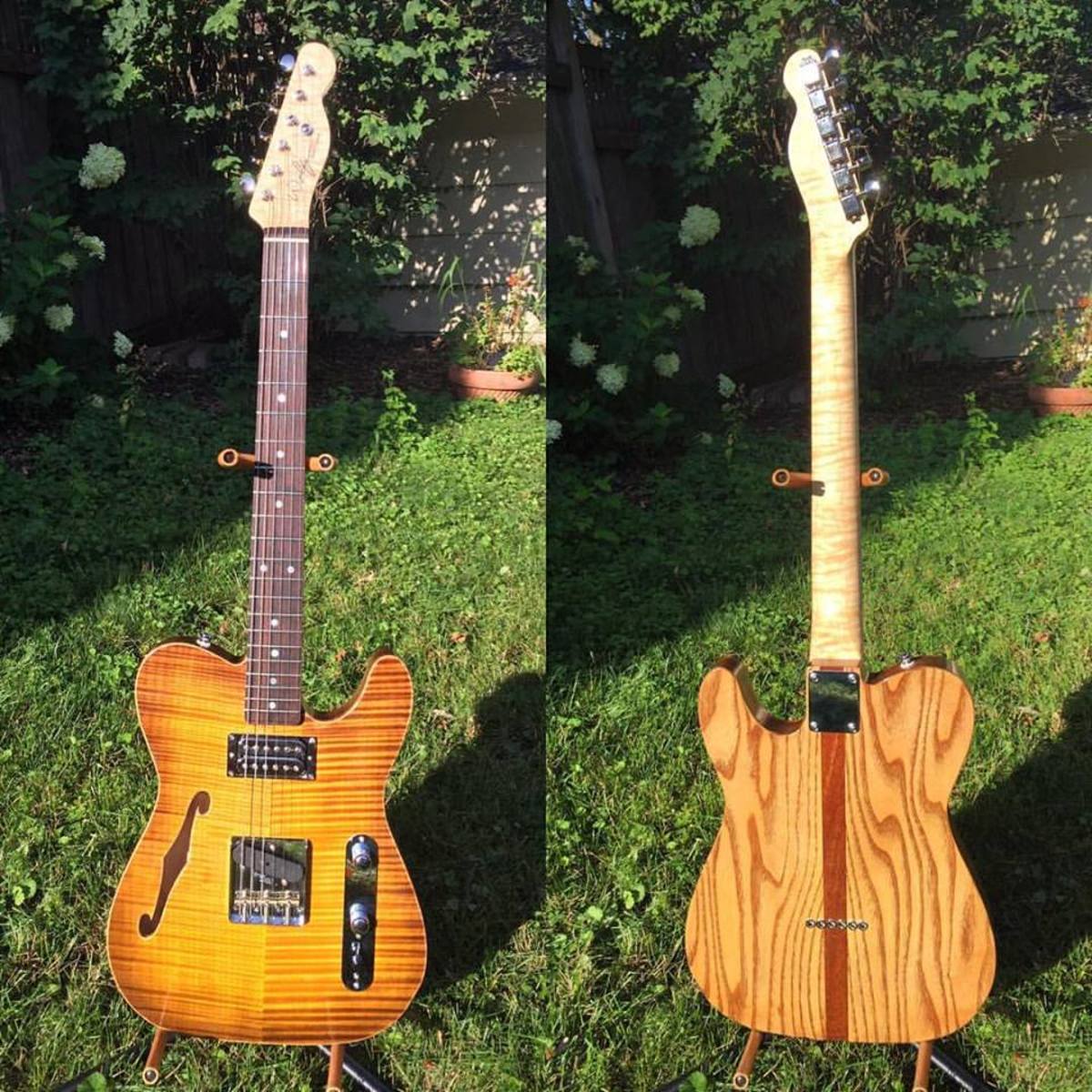 andyfwolfe's music gear photo
