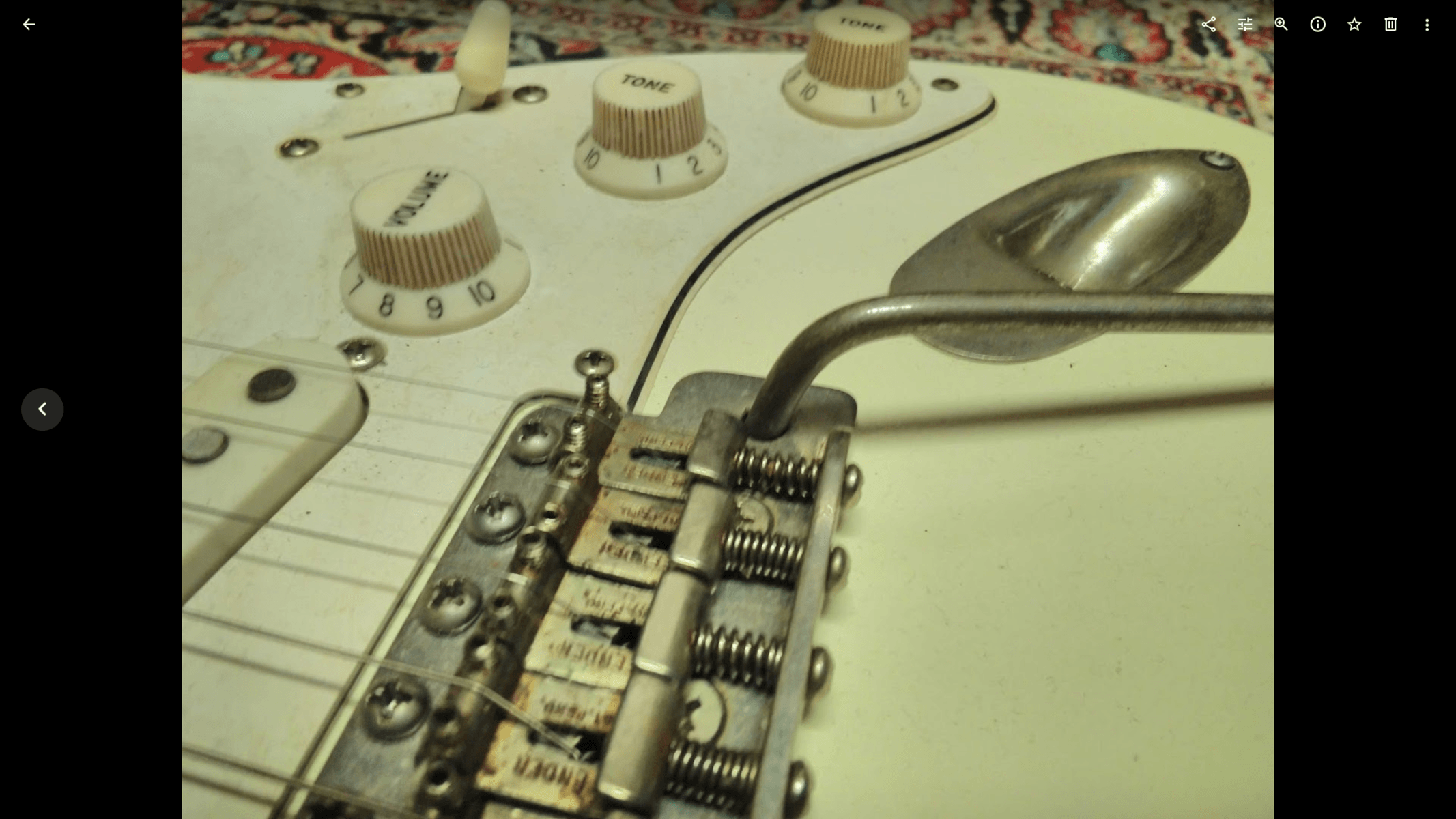 vicious's music gear photo