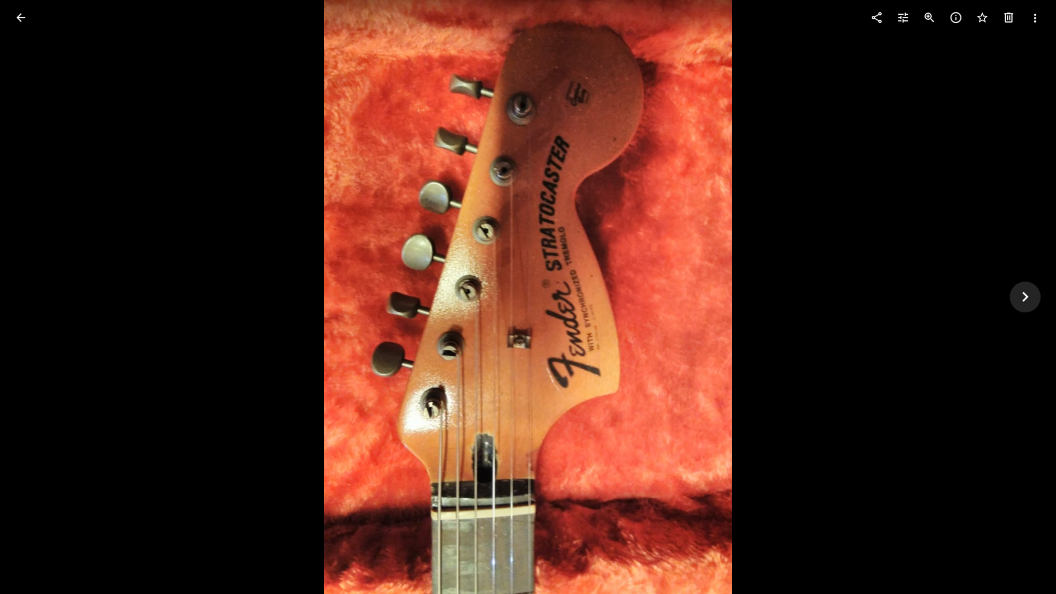 vicious's music gear photo
