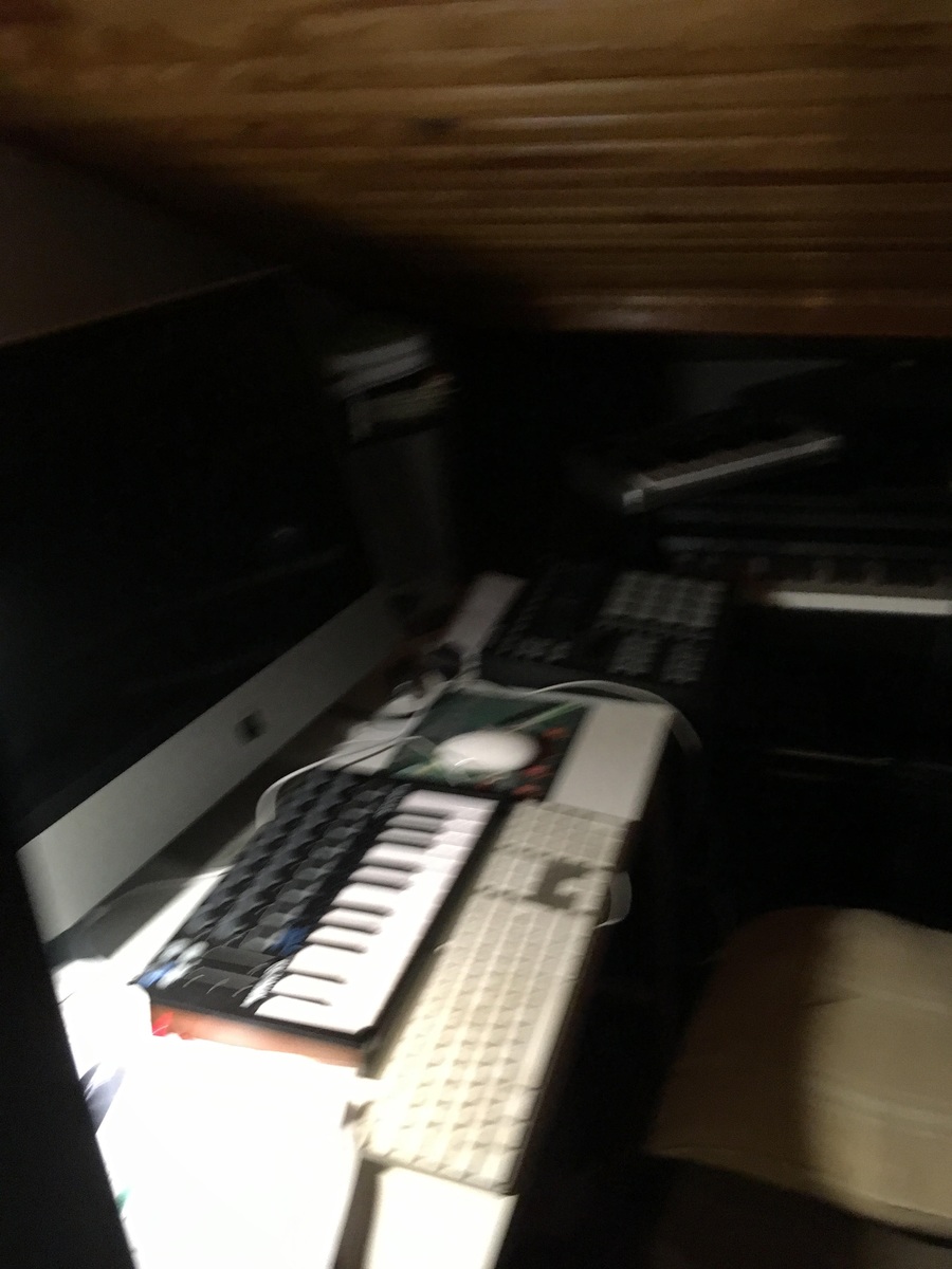 spleentaste's music gear photo