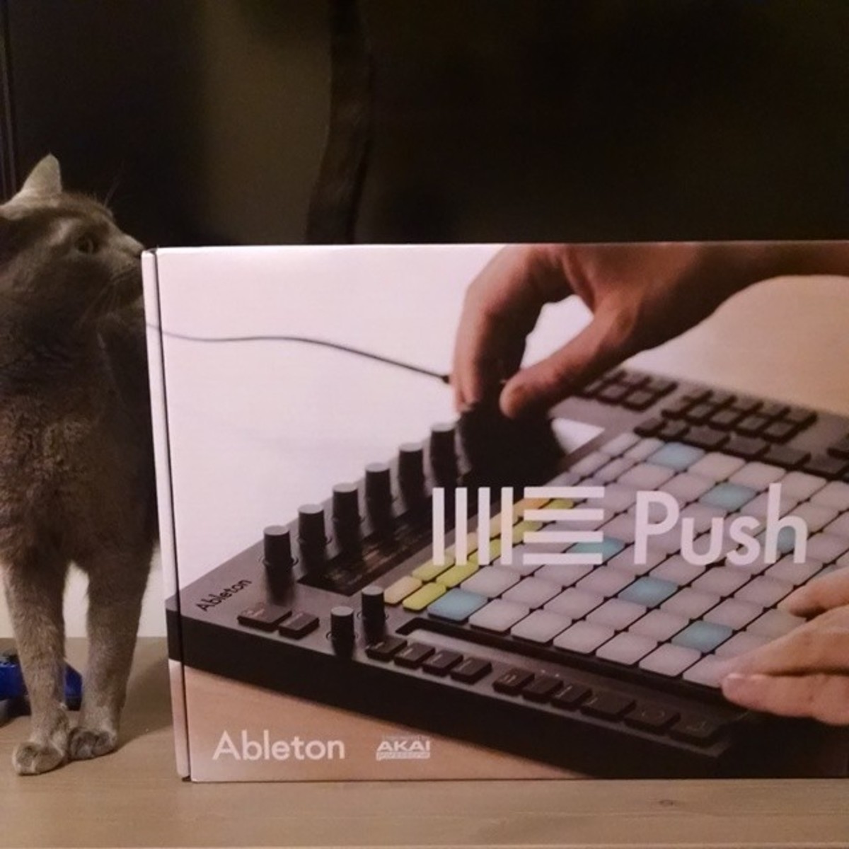 scottux's music gear photo