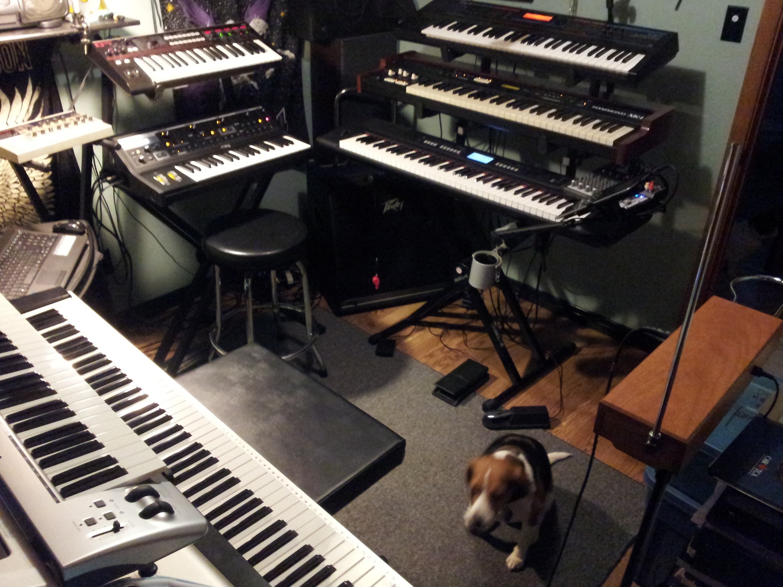 Electronic Synth Setup by joe_m_bettencourt featuring Hammond XK-1, Korg R3 Synthesizer / Vocoder Keyboard, and Yorkville Sound Folding Padded Piano Bench and 1 more piece of gear