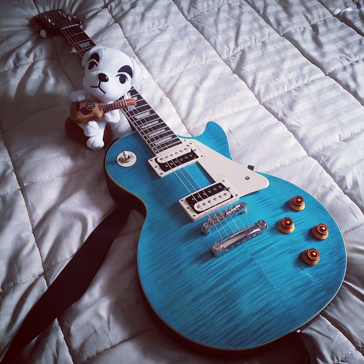 russell_dillingham's music gear photo