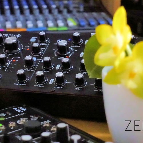 zenman_music's gear photo