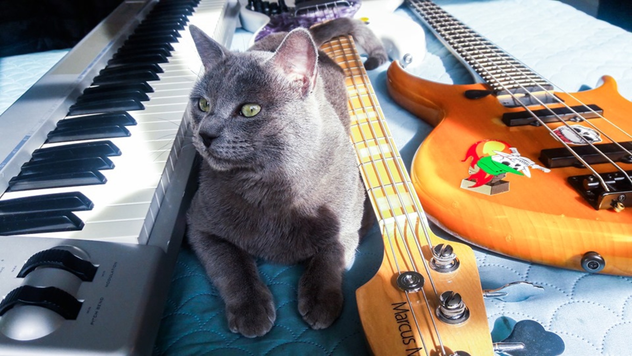 valbass96's music gear photo