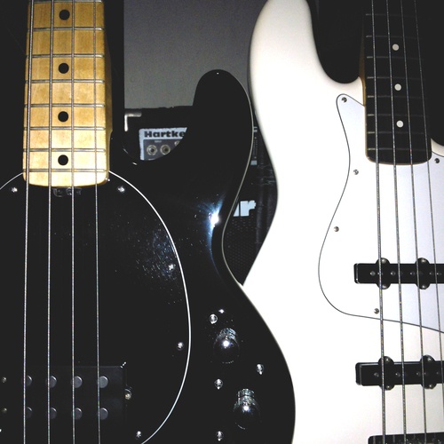 vitormansur's gear photo