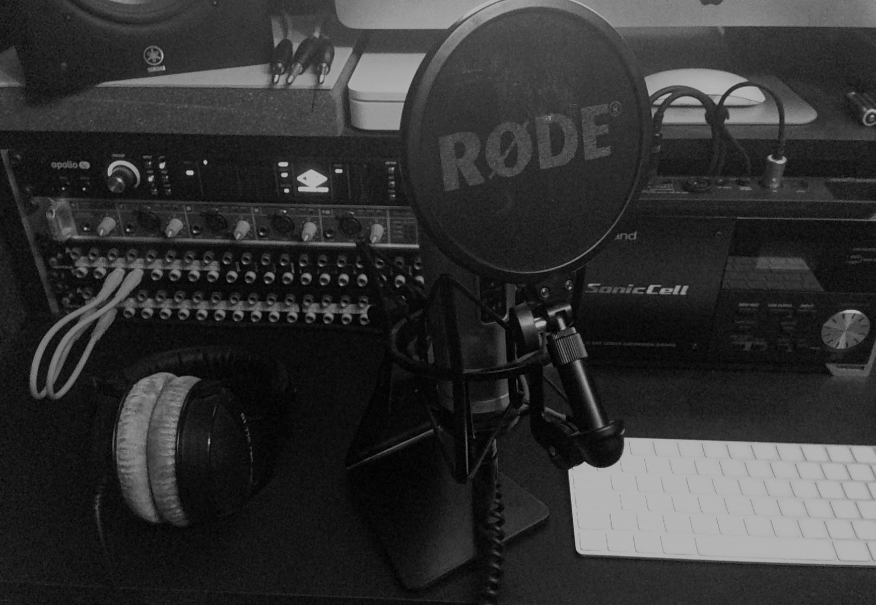peter_schips's music gear photo
