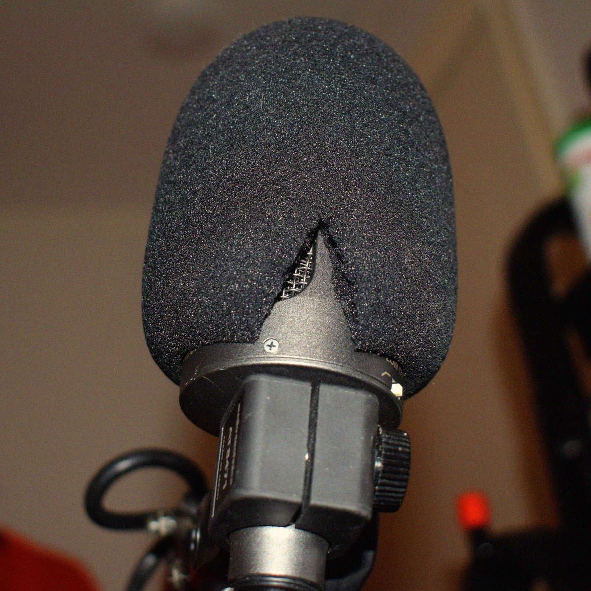 lennyg's music gear photo