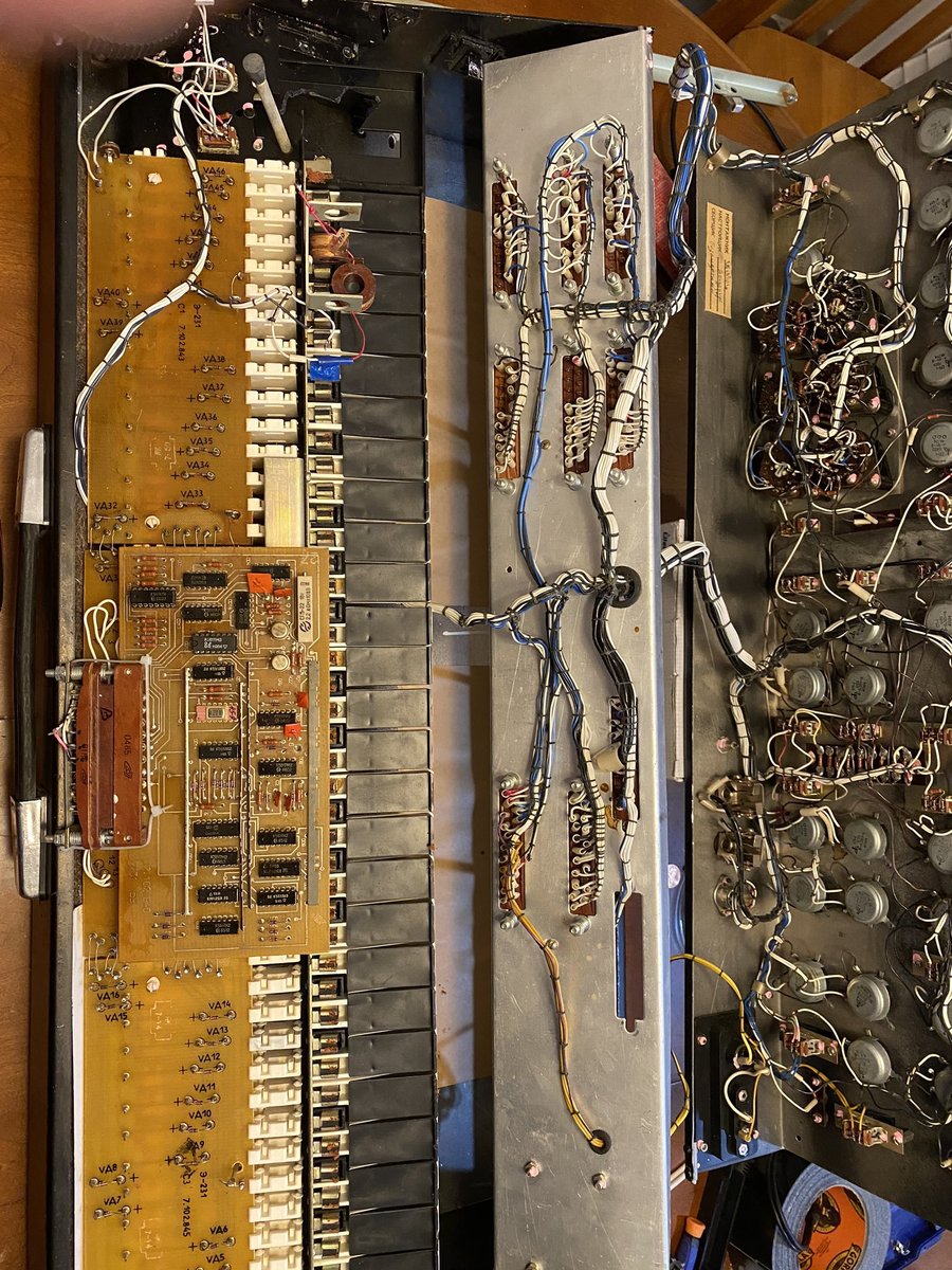 coyotemyp's music gear photo
