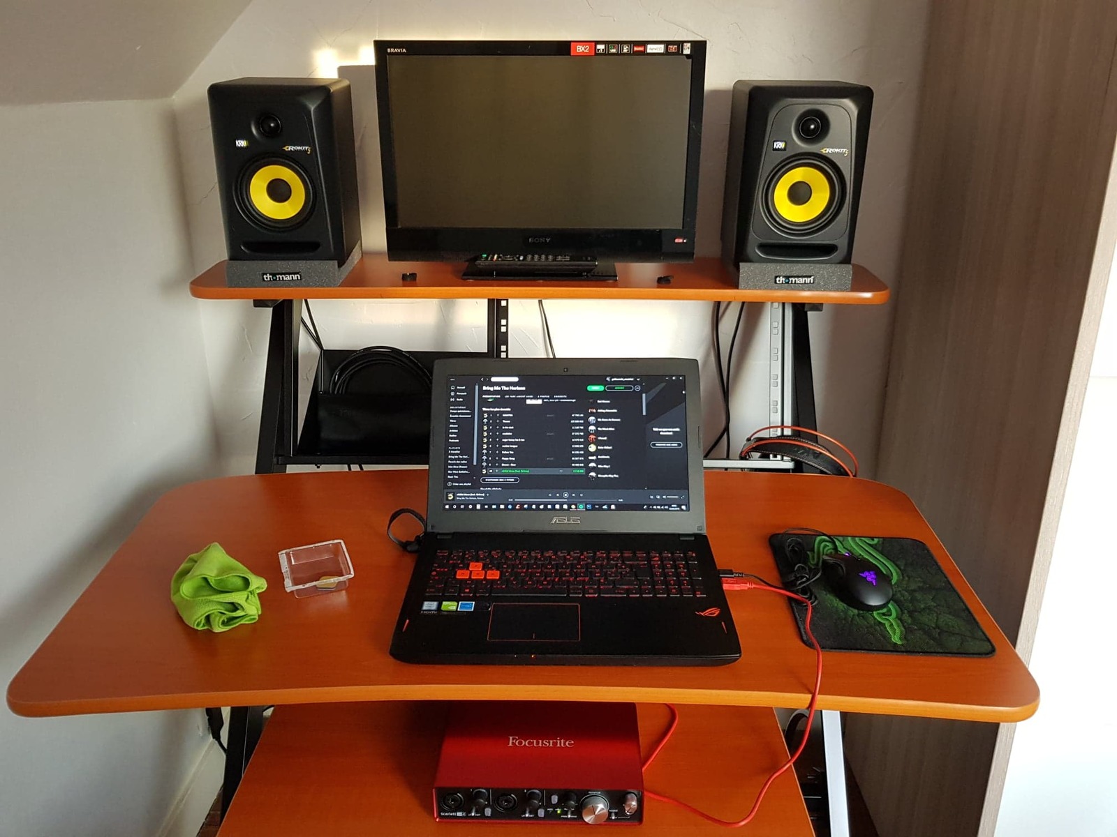 lemoulnierg's music gear photo
