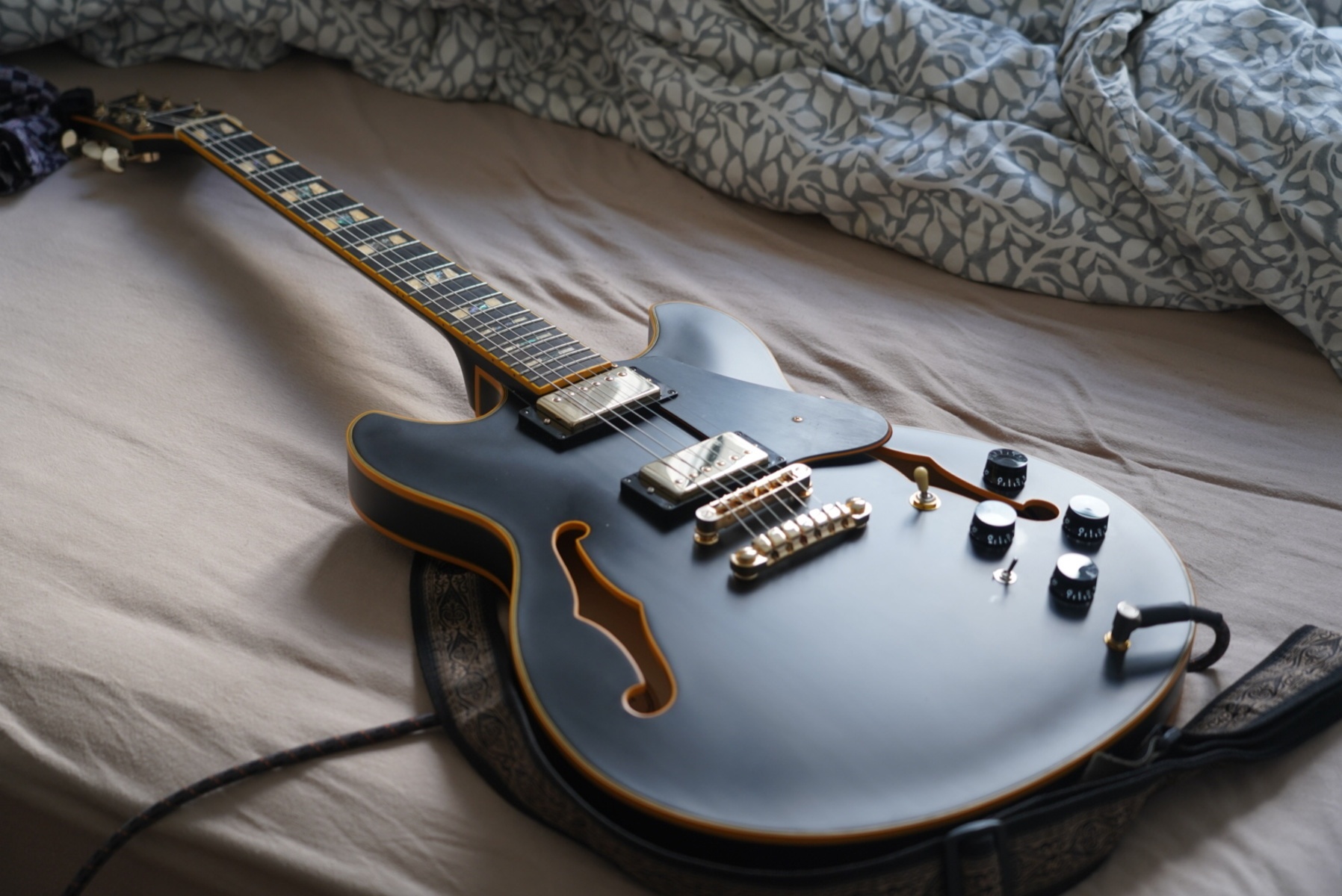 Music Gear Setup by miguel_angelo featuring Ibanez JSM20 John Scofield Signature