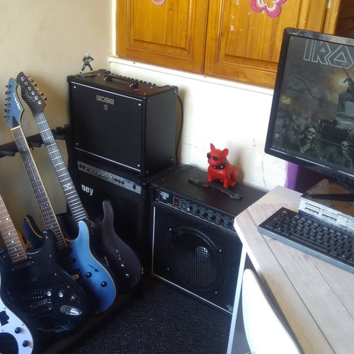 Photo of Aria STB-PB and more gear